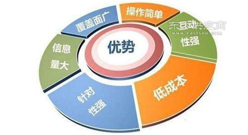 互聯(lián)網(wǎng)推廣渠道概覽與技術(shù)咨詢服務(wù)